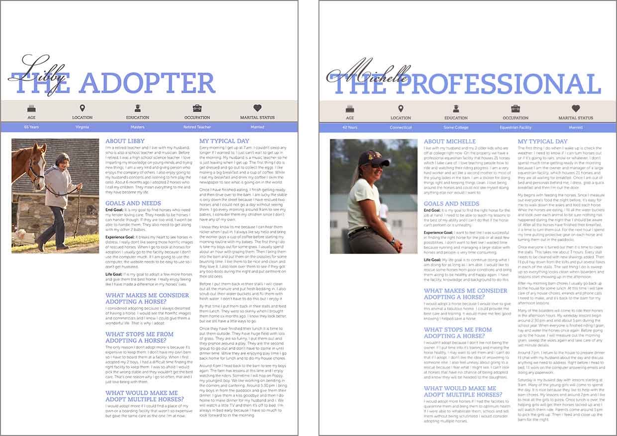 Horse in Hand Personas